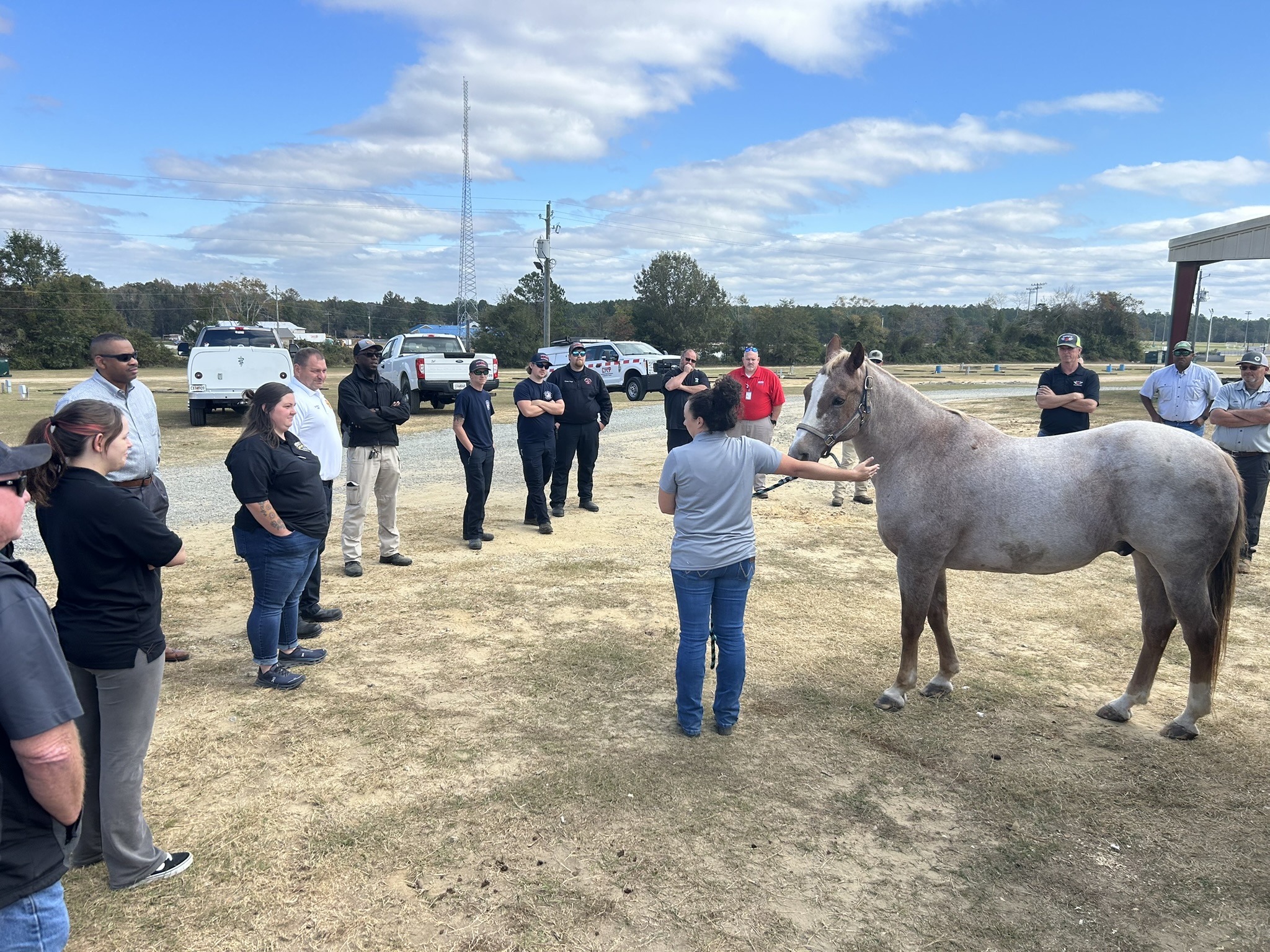 An instructor for Livestock Emergency Response Plan training shows a horse to a crowd of trainees who are circled around her and the horse.